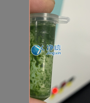 冷凍研磨儀在對(duì)甘蔗葉片提取DNA實(shí)驗(yàn)中研磨樣本效果如何？