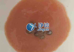 實(shí)驗(yàn)室常用研磨儀器是什么？組織研磨儀常用嗎？